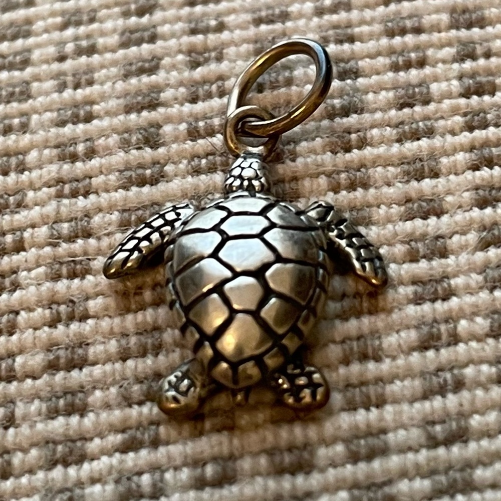 Turtle Charm - Picture 4 of 8